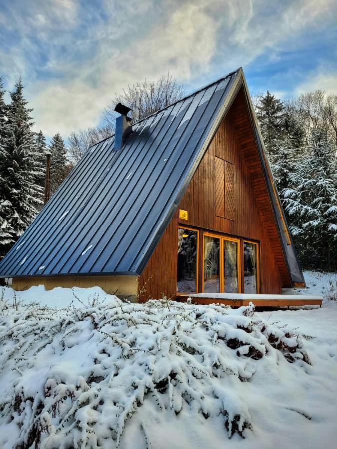 Villa Chata Pod Tolstejnem à Jiřetín pod Jedlovou Extérieur photo