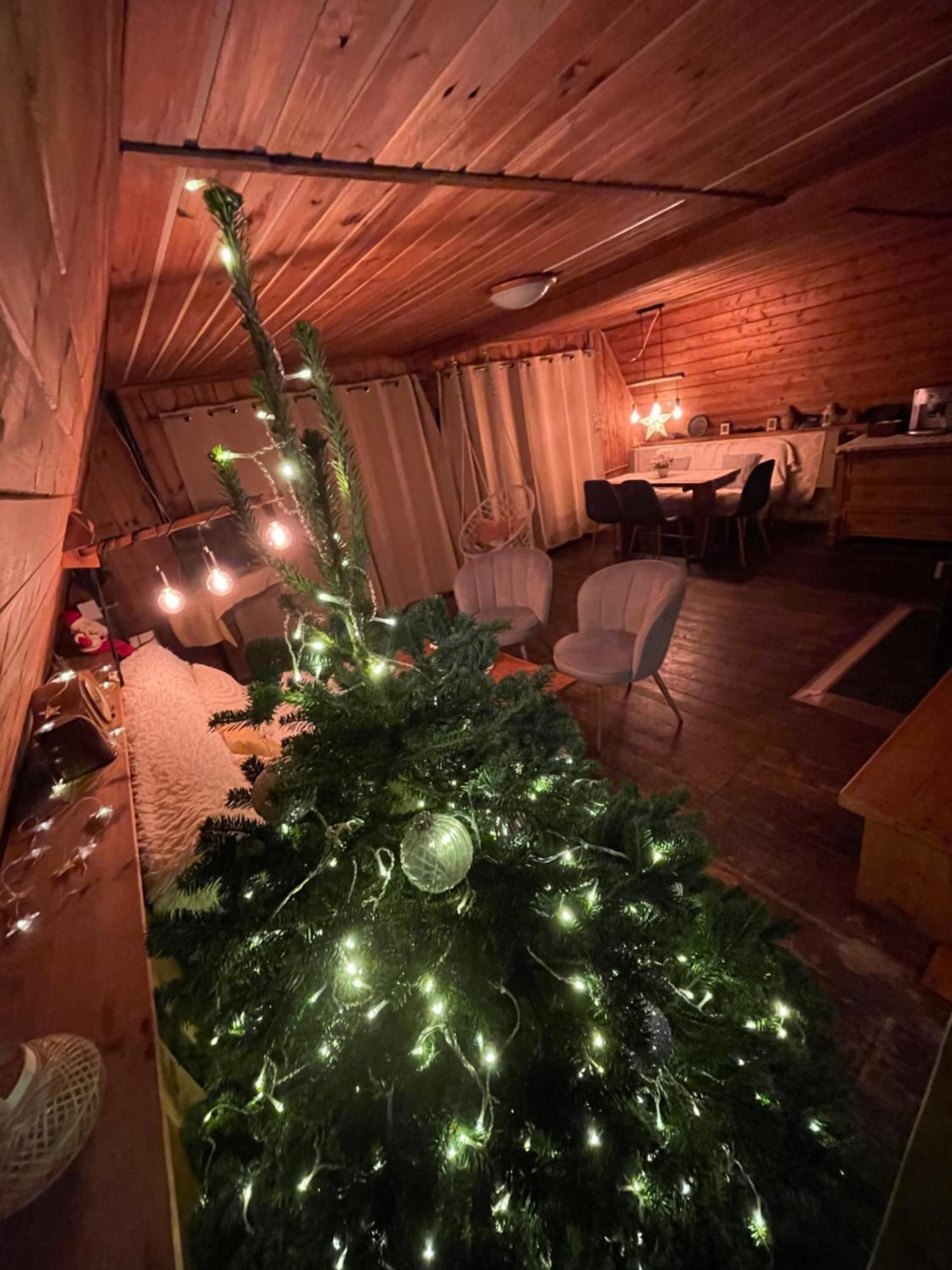 Villa Chata Pod Tolstejnem à Jiřetín pod Jedlovou Extérieur photo